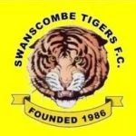 swanscombetigersfc_club